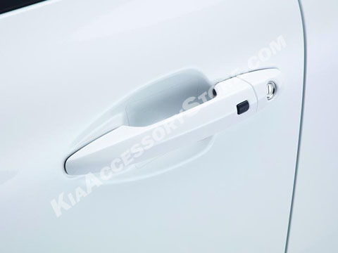 Kia Niro Clear Door Pocket Protectors 