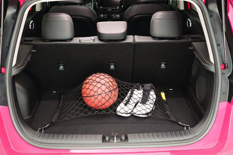 Kia Soul Cargo Net